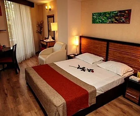 Duke Armeneasca By Olala! 3* Bukarest