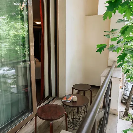 Duke Armeneasca Center