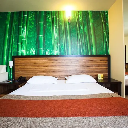 Duke Armeneasca Center بوخارست