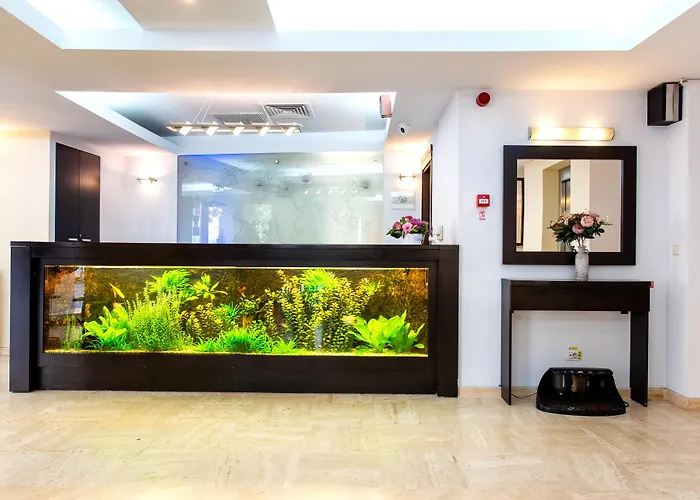 Duke Armeneasca Center 3*