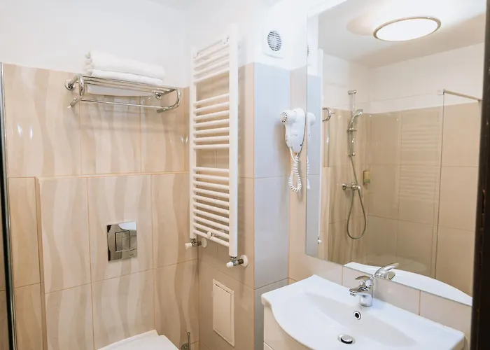 Duke Armeneasca Center 3*