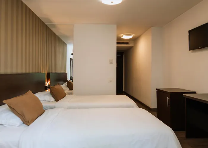 Duke Armeneasca Center 3*