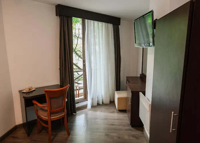 Hotell Duke Armeneasca Center