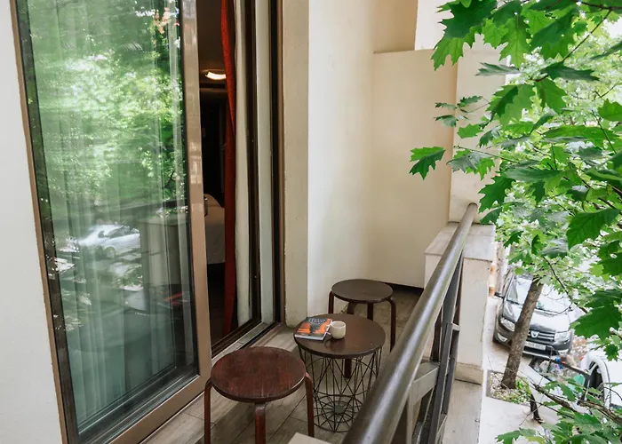 Duke Armeneasca Center