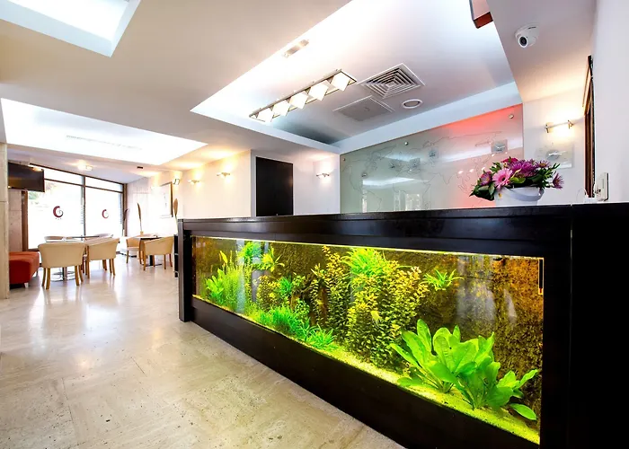 Duke Armeneasca Center