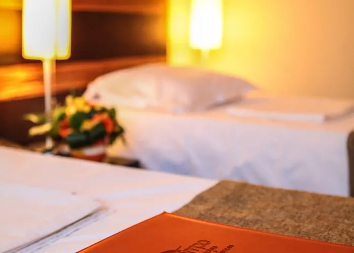 호텔 Duke Armeneasca Center 3*