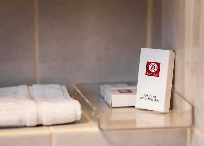 Duke Armeneasca Center Hotel