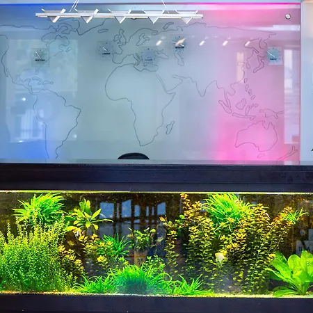 Duke Armeneasca Center 호텔 부쿠레슈티