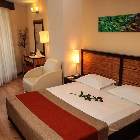 Duke Armeneasca Center 호텔