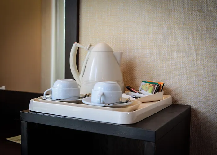 Hotell Duke Armeneasca Center 3*