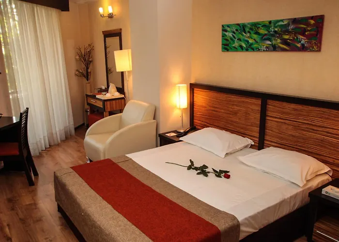 Duke Armeneasca Center Hotell